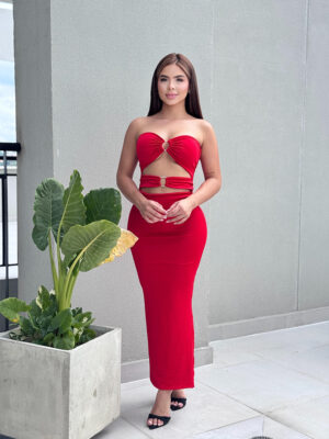 Vestido argolla